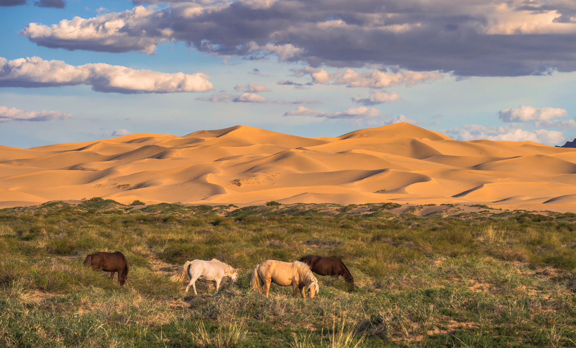 The Enigmatic Beauty of the Mongolian Gobi Desert: Exploring its Sand Ecosystem and Unpredictable Weather